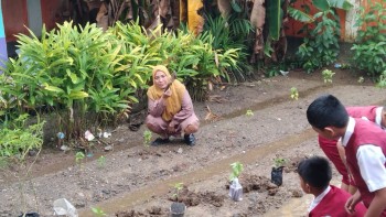 Kegiatan tanam Cabai di SD Negeri 352 Tobemba