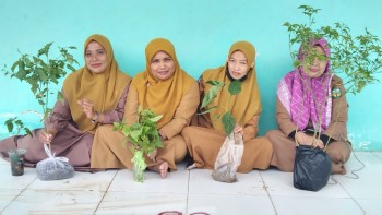 Kegiatan tanam Cabai di SD Negeri 352 Tobemba