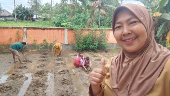 Kegiatan tanam Cabai di SD Negeri 352 Tobemba
